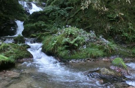 Shimotaki Falls