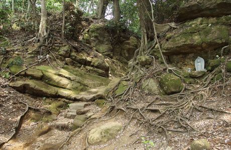 Tenen Hiking trail