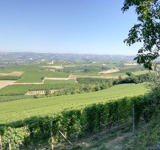 Belvedere di La Morra