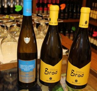 Cantina Montecappone