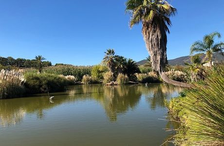 Domaine de l'Anglade