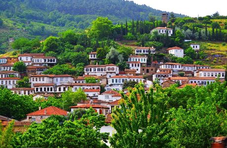 Village
