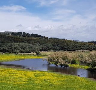 Etang de Tanchiccia