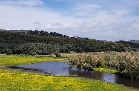 Etang de Tanchiccia