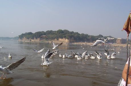 Triveni Sangam Allahabad