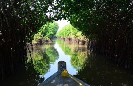 Pichavaram