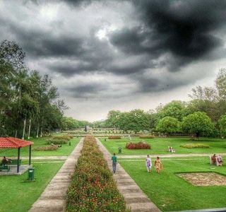 Terraced Garden