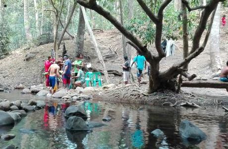 Pamulaklakin Forest Trail
