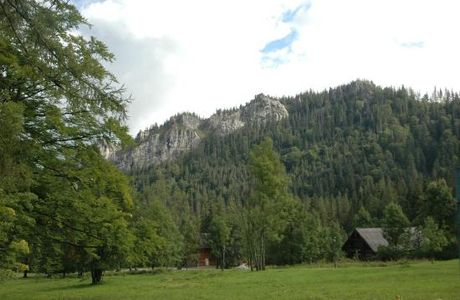 Nosal Mountain - Ski Area