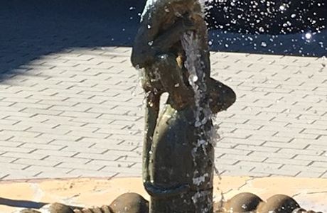 Fountain the Marmoset