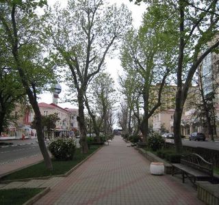 Platanovaya Alley