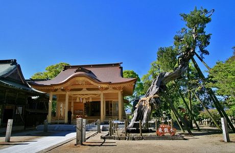 Nikita Shrine