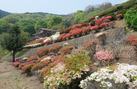 Utagaki Park