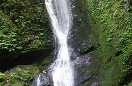 Umezawa Trail