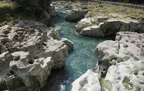 Koza River 1