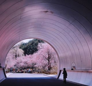 Miho Museum