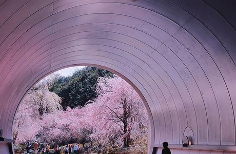 Miho Museum