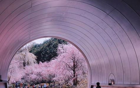 Miho Museum 1