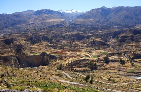 Colca Canyon
