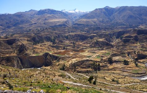 Colca Canyon 1