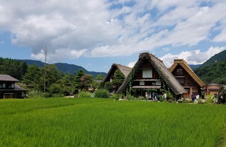 Shirakawa Flower World