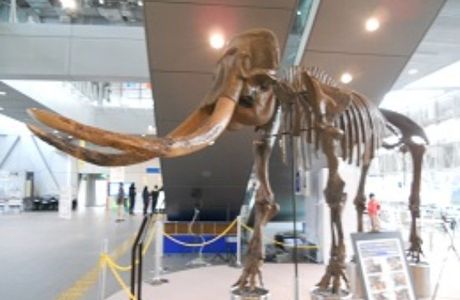 3M Sendai Science Museum