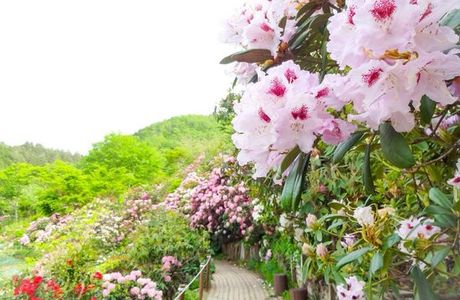 Izumi Botanical Garden