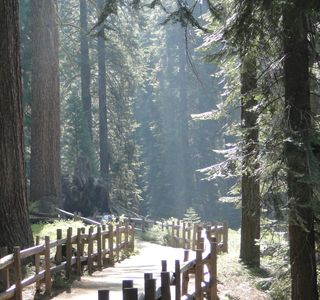 Lakes Trail in Sequoia National Park