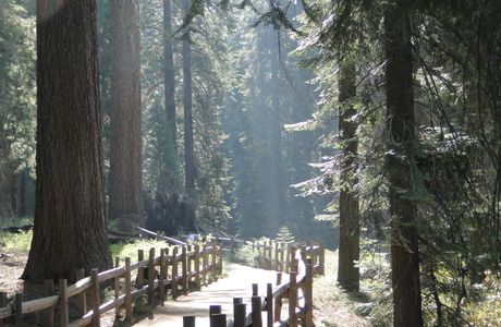 Lakes Trail in Sequoia National Park