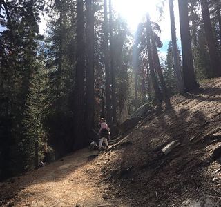 Weaver Lake Trail