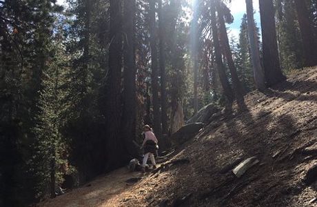 Weaver Lake Trail