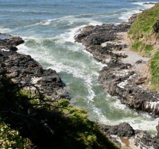 Cape Perpetua Scenic Area