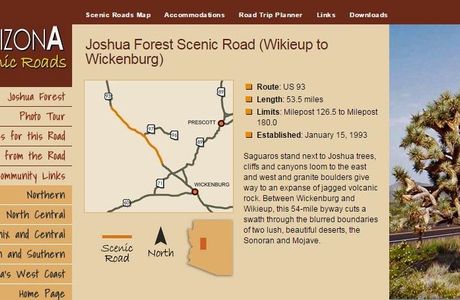Joshua Forest Scenic Road