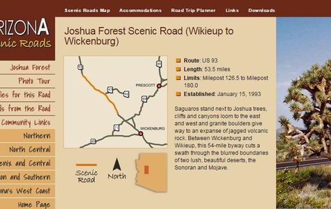 Joshua Forest Scenic Road 1