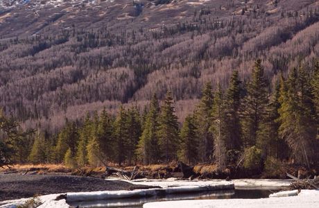 North Fork Eagle River
