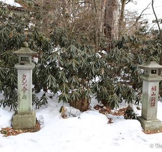 Shirane Shrine