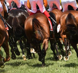 Melbourne Cup at the Orangery