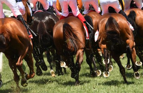 Melbourne Cup at the Orangery