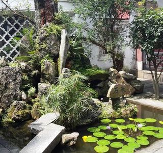 ZongTaoZhai