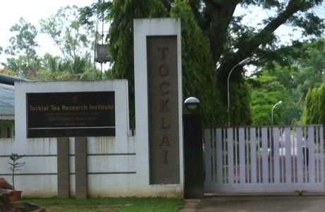 Tocklai Tea Research Centre