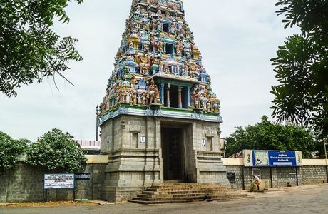 karuvalli Salem Tamil nadu