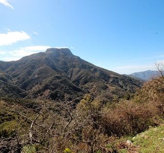 Riserva Naturale Orientata Fiumedinisi e Monte Scuderi