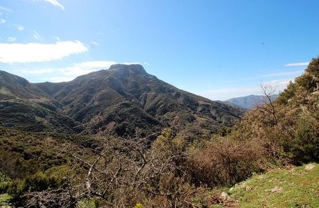 Riserva Naturale Orientata Fiumedinisi e Monte Scuderi