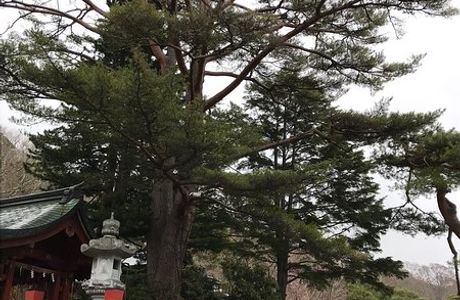 Nikko Futarasan-Jinja Nantaisan Okumiya