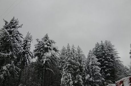 Calabria Snow Academy