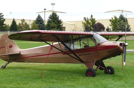 Piper Bar