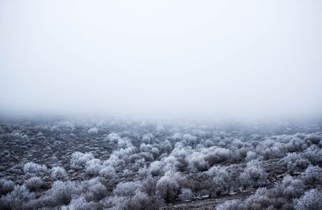 Qunjia National Forest Park