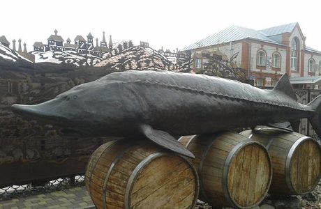 Monument to 960-kg Beluga Caught in the Volga River
