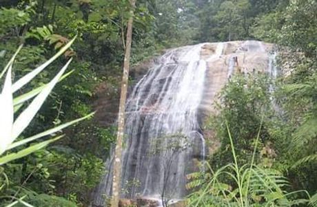 Taman Negeri Kenaboi