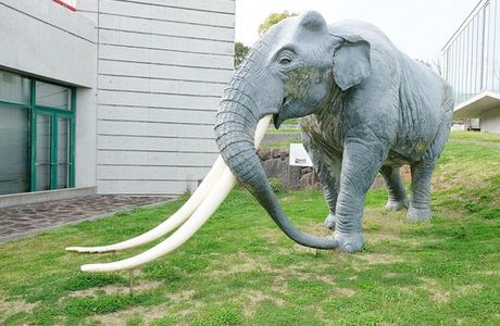 Koganemaru Art Museum